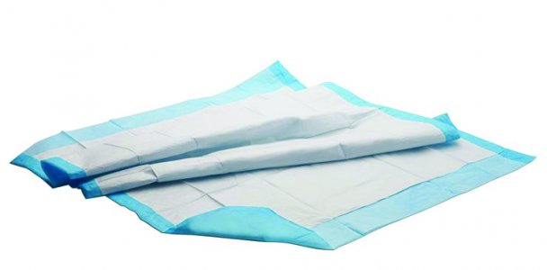Underpads Economy 150/cs 24 x 36  Disposable
