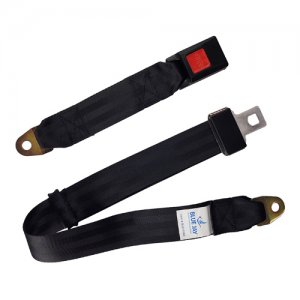 Buckle Up(TM) Wheelchair Seat Belt