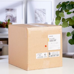 Surgical Glove McKesson Perry   Size 5.5 Sterile Latex Standard Cuff Length Smooth Brown Not Chemo Approved