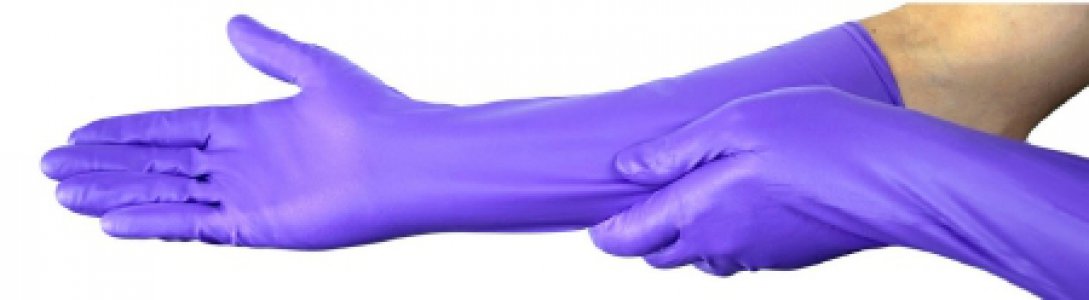 Exam Glove Purple Nitrile Max    Small NonSterile Nitrile Extended Cuff Length Fully Textured Purple Not Rated