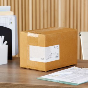 Biopsy Punch McKesson Argent    Dermal 5 mm