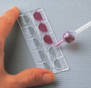 Urinalysis Microscope Slide Kova   Glasstic   Slide 10 Plain