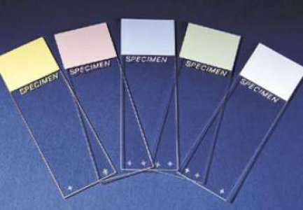 Charged Microscope Slide Superfrost   Plus 25 X 75 mm Frosted End