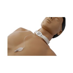 Tracheostomy Collar