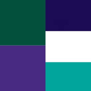 Cohesive Bandage CoFlex   NL 2 Inch X 5 Yard 12 lbs. Tensile Strength Self-adherent Closure Teal / Blue / White / Purple / Green NonSterile