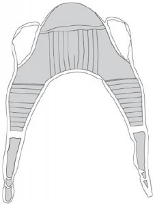 Seat U Sling 4 or 6 Point With Head Support Straps - Attached X-Large 600 lbs. Weight Capacity