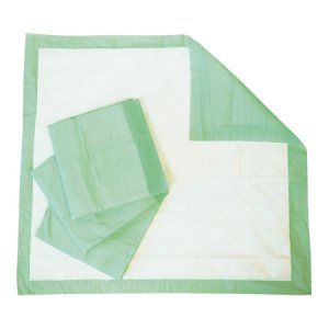 Underpad Tranquility   Essential 28 X 30 Inch Disposable Superabsorbent Material Moderate Absorbency