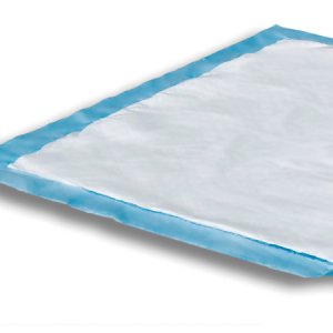 Underpad Attends   Care Dri-Sorb   23 X 36 Inch Disposable Cellulose / Polymer Heavy Absorbency