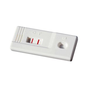 Rapid Test Kit Accutest Value+    Fertility Test hCG Pregnancy Test Urine Sample 25 Tests CLIA Waived