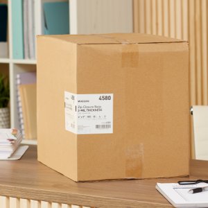 Reclosable Bag McKesson 6 X 9 Inch Polyethylene Clear Zipper Closure