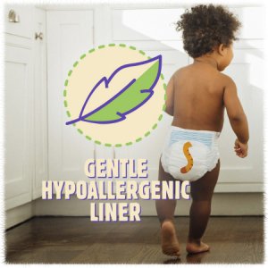 Unisex Baby Diaper Cuties   Essential Size 7 Disposable Heavy Absorbency